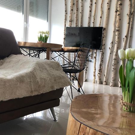 Artistic Luxury Διαμέρισμα Σκόπια Εξωτερικό φωτογραφία